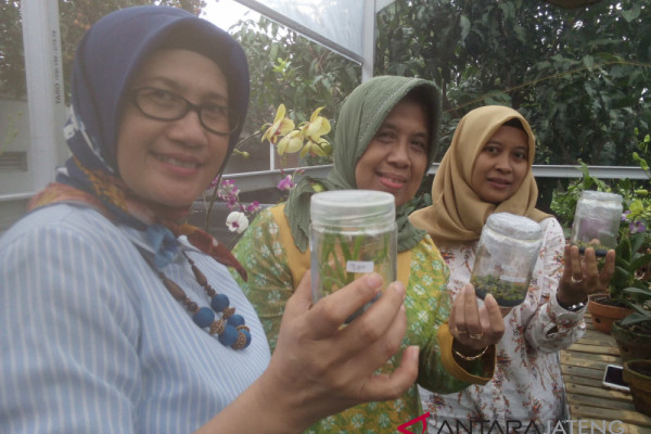 Unnes kembangkan Kalisegoro sebagai kampung anggrek