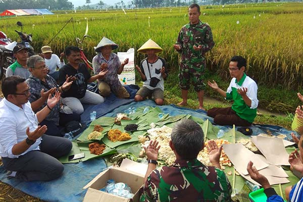 Panen lebih awal, petani Banjarnegara gelar Kupengan