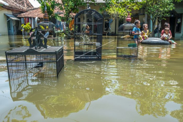 Pemerintah didesak serius tuntaskan penanganan banjir