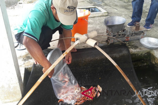 Perikanan budi daya semarang tumbuh 10 persen