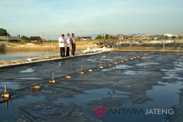 Petani garam harapkan Kadin suarakan pengetatan impor