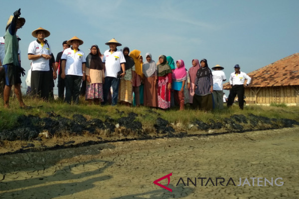 Pemerintah diminta awasi distribusi garam impor