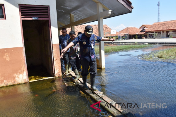Pemkot Pekalongan terapkan status tanggap darurat rob