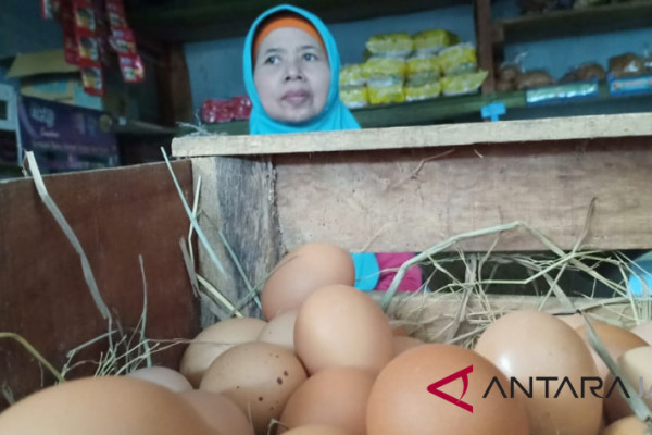 Musim hajatan, harga cabai dan telur di Pekalongan membumbung