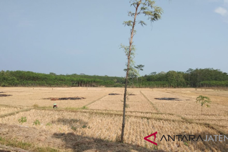 Bersama antisipasi kekeringan dan kekurangan air bersih