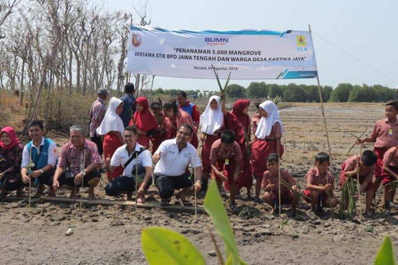 PLN Area Semarang bersama pelajar tanam 5.000 mangrove