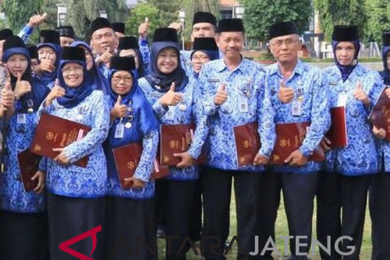 Pendaftaran CPNS untuk Tenaga Honorer Dibatasi Usia