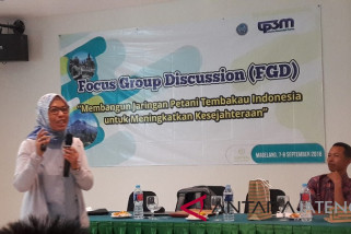 Magelang kembangkan kopi untuk konservasi lereng gunung