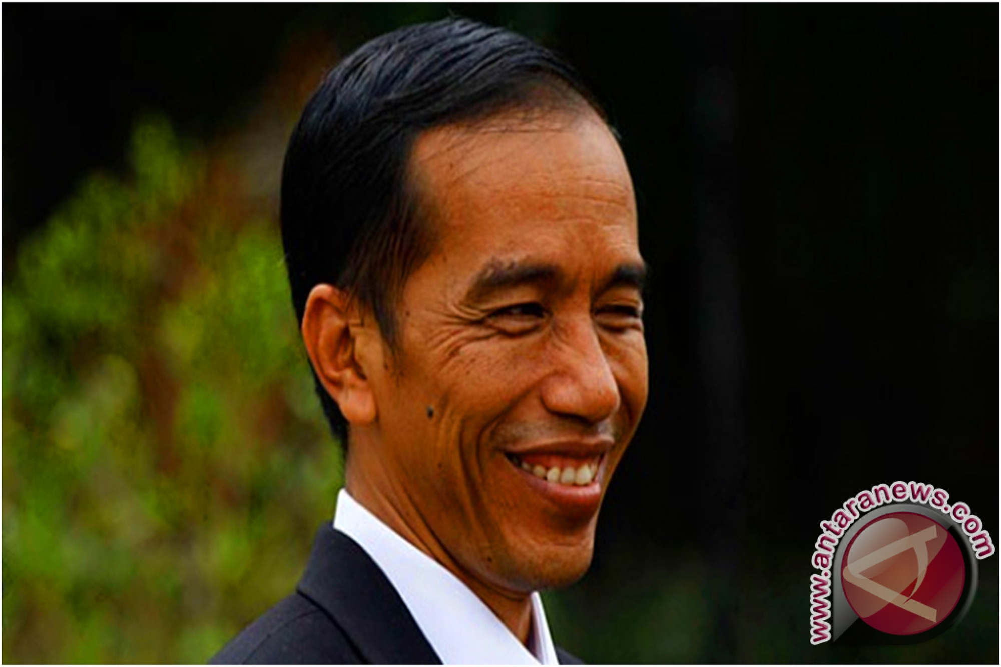 Presiden Jokowi Kembali Panggil Sejumlah Nama - ANTARA 