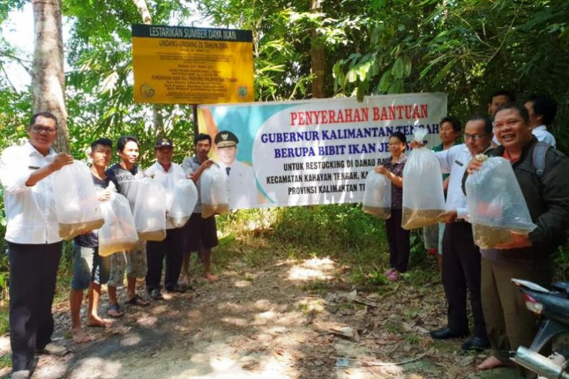 Pemprov sebar puluhan ribu ikan jelawat ke sejumlah Danau