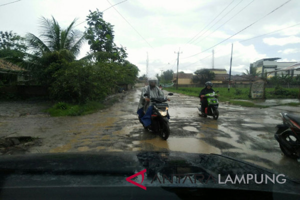 Warga Lampung Selatan minta jalan diperbaiki