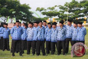 Mamuju dapat kuota 201 formasi CPNS
