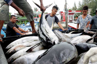 SYL lepas ekspor tuna senilai rp2 miliar