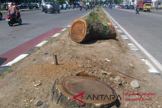 Pembangunan tol layang Makassar diprotes Walhi Sulsel