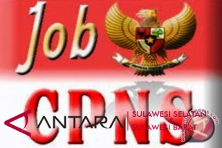 Pendaftar CPNS Pemprov Sulsel capai 8.213 orang