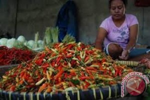 Harga cabai di Jayapura naik drastis