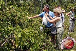 Legislator dorong Pemprov Papua kembangkan kopi Arabica