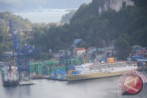 BPS: bahan bakar disel dominasi impor Papua