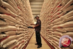 Bulog Biak Numfor salurkan 60 ton rastra