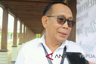 Freeport akan tutup tambang terbuka pada 2019