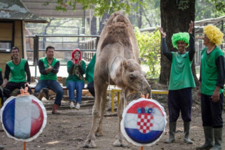 Fakta unik lima final Piala Dunia terakhir