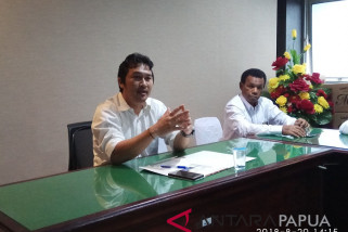 PLN: sebagian besar listrik Jayapura gunakan solar