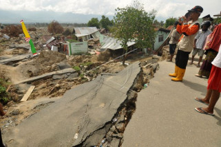 Pemerintah akan bangun Kota Palu baru