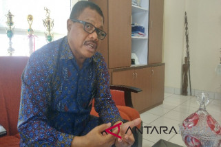 PLN segera jual listrik ke Papua Nugini