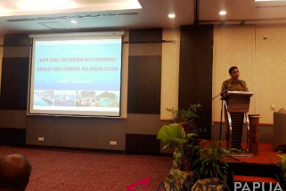 Pemprov Papua berharap transportasi langsung ke PNG segera terwujud