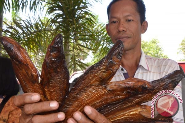 Ikan sale lais digemari karena cita rasa tinggi - ANTARA ...