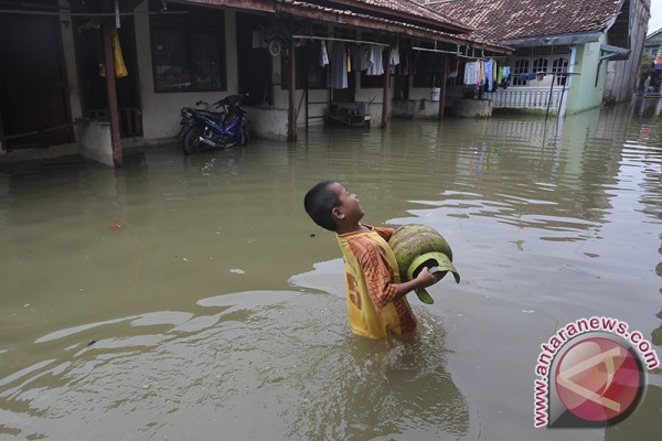 Dua kecamatan di Muara Enim terendam banjir - ANTARA News 